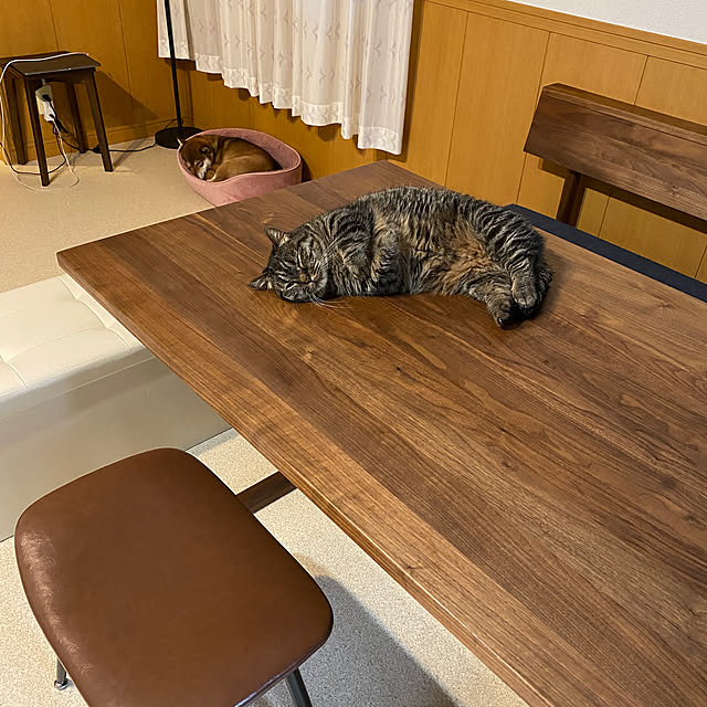 nocomomさんの部屋