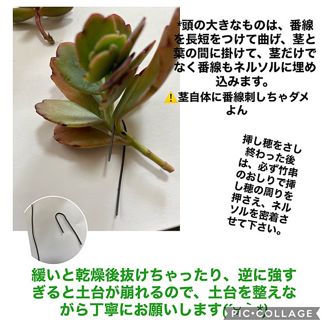 mimoza.さんの実例写真