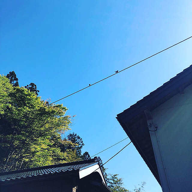 dragontaro_countryさんの部屋