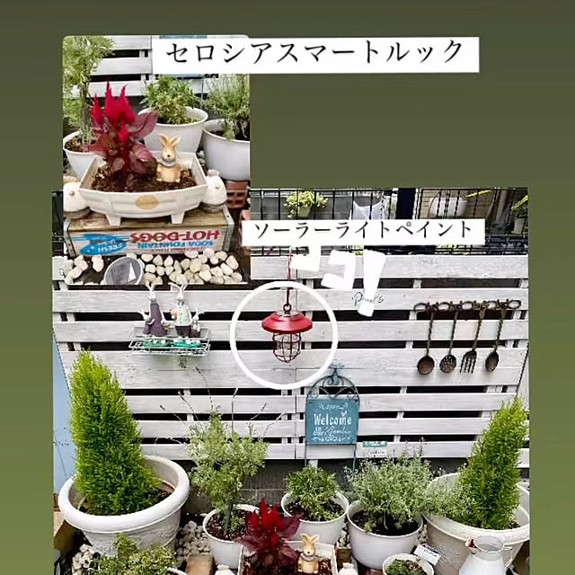 YuuKoさんの実例写真