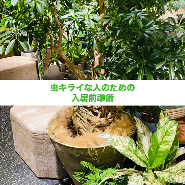 oliverさんの実例写真