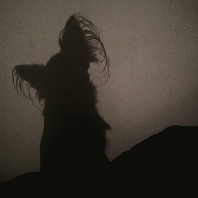 teさんの実例写真