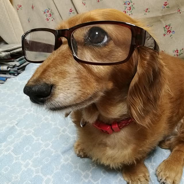 Mayumiさんの実例写真