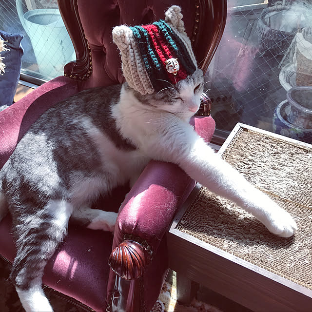 emmyyさんの実例写真