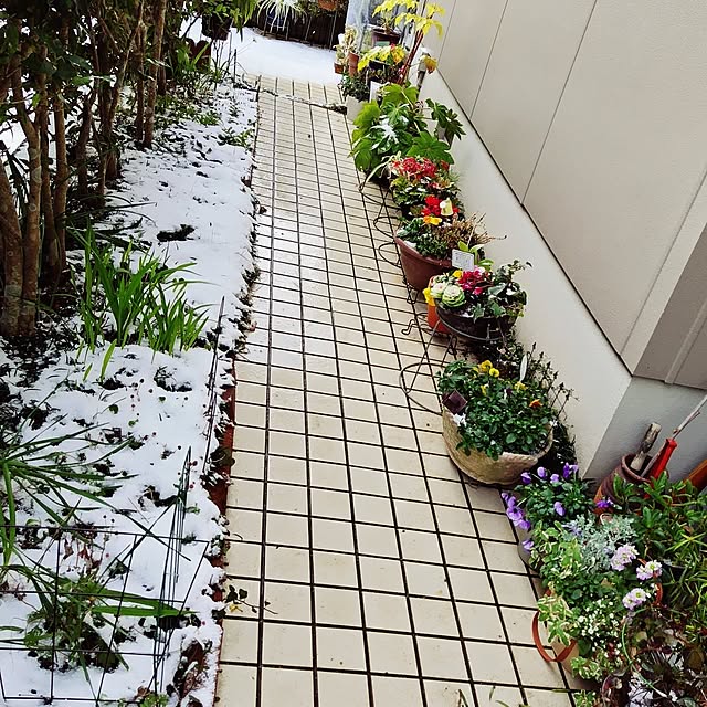 katさんの部屋