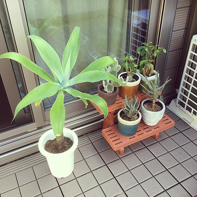 T..K..Y..さんの実例写真