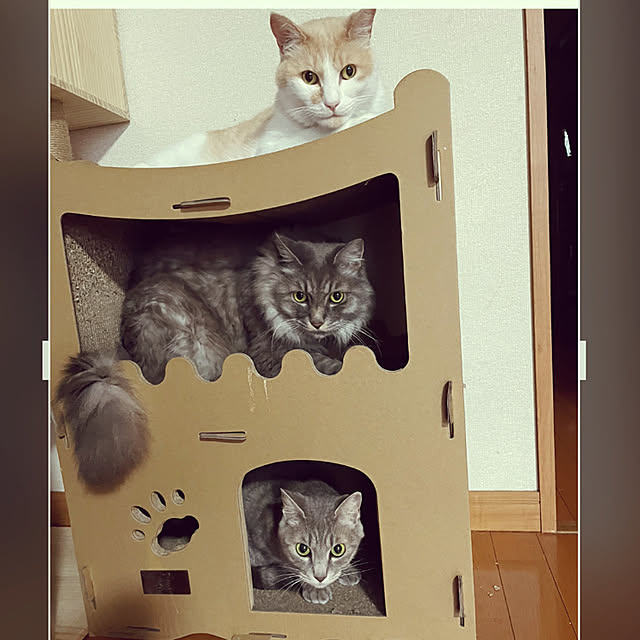 naworinさんの実例写真