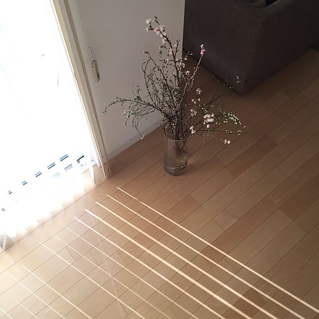 mintさんの実例写真