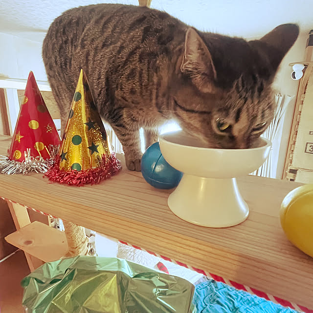 Mさんの部屋