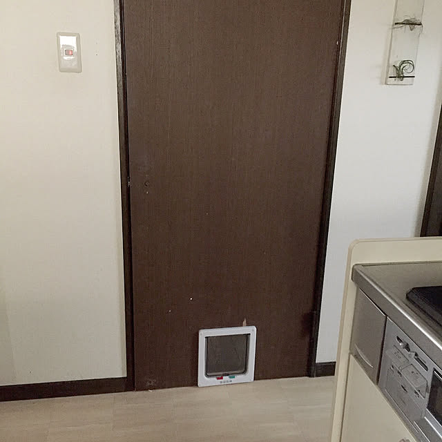 kotoriさんの実例写真