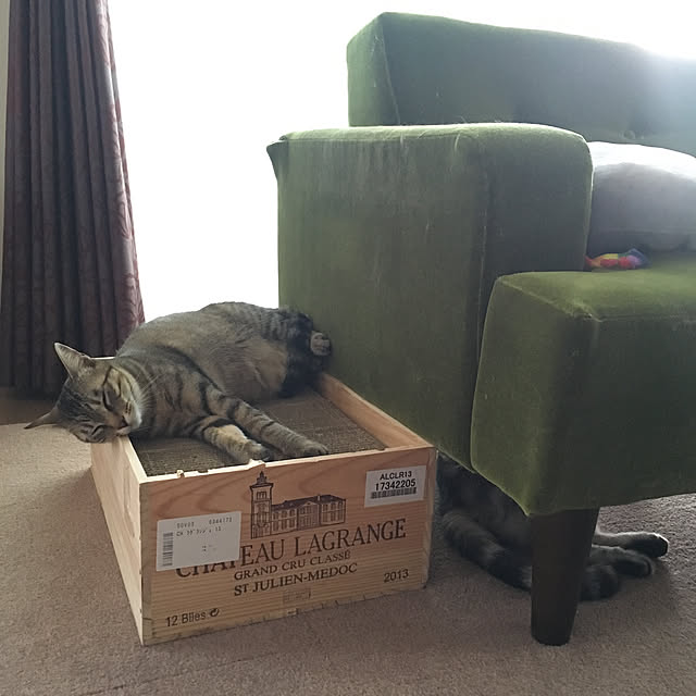 mikomaruさんの実例写真