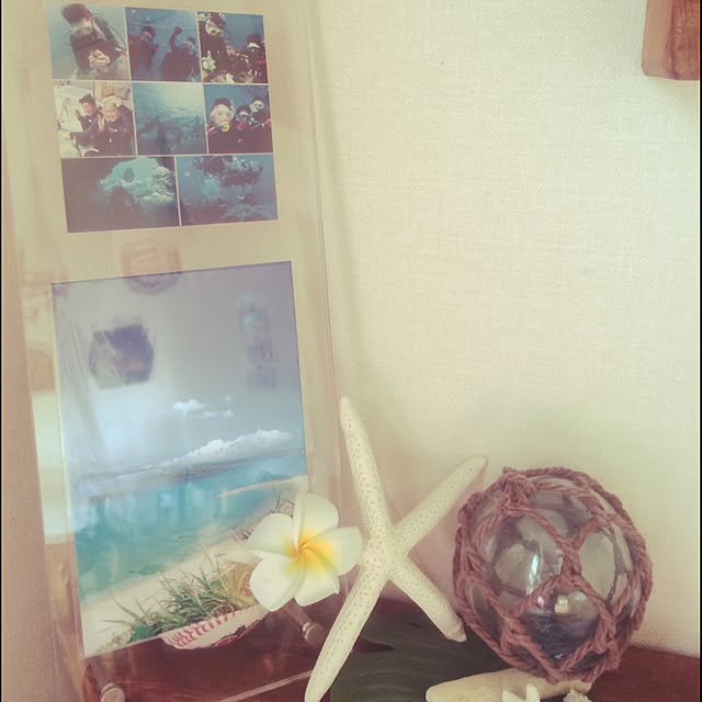 Norikoさんの実例写真