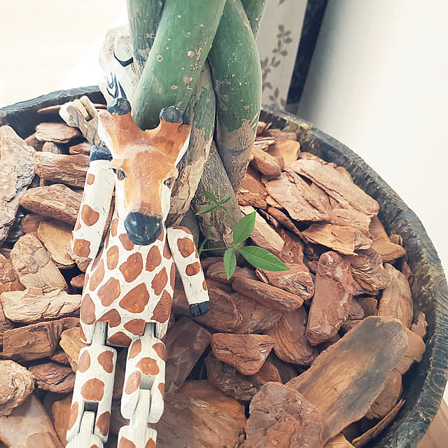Daiさんの実例写真