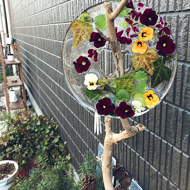 adgjmptwさんの実例写真