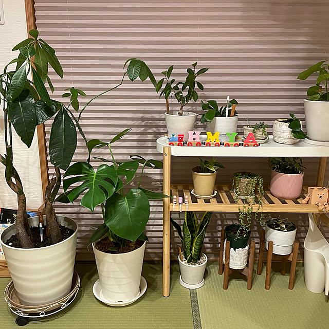 asamisさんの実例写真