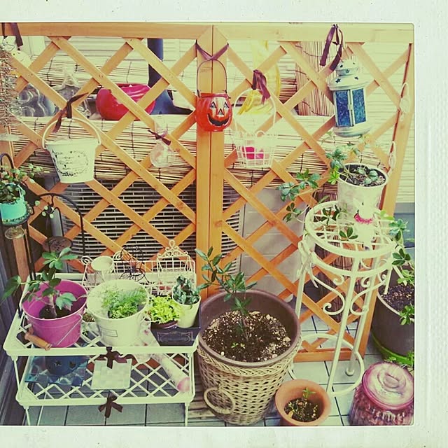 riecoroさんの実例写真