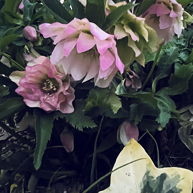 yuuumyさんの実例写真