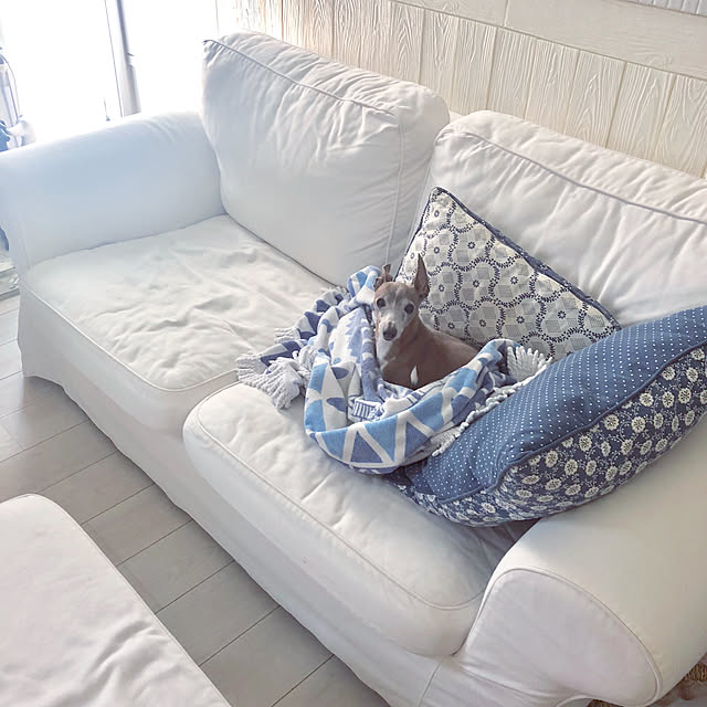 suzyさんの実例写真