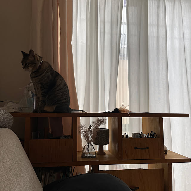 t-famさんの実例写真