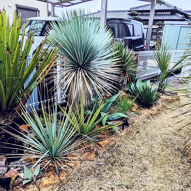 ot-gardenさんの部屋