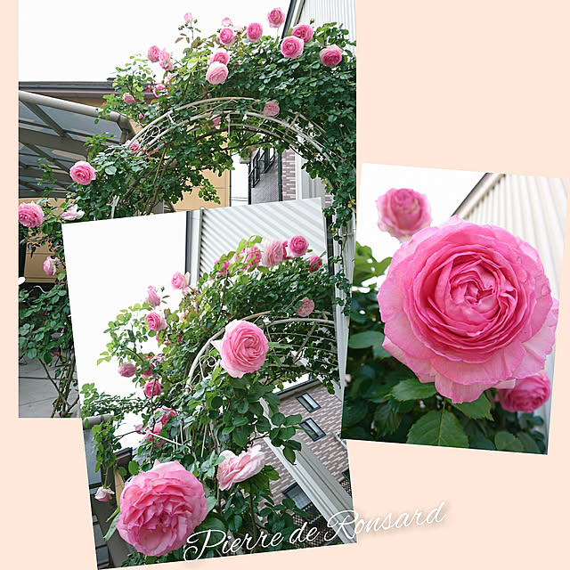 fleur-mamanさんの実例写真