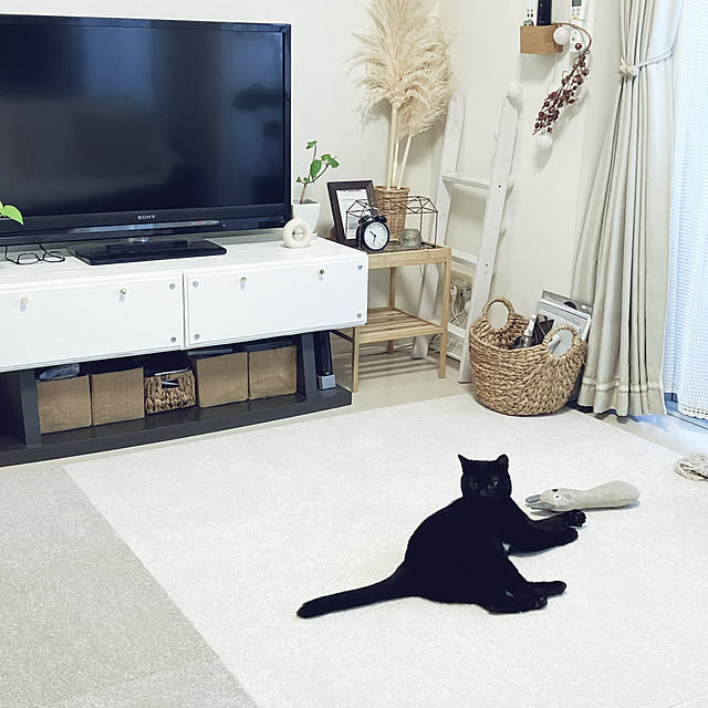 nekomiさんの部屋