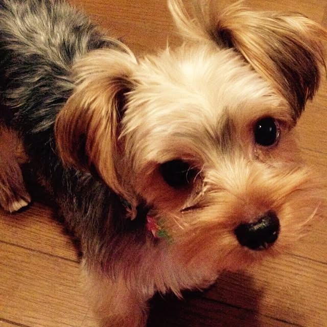 Chocoさんの実例写真