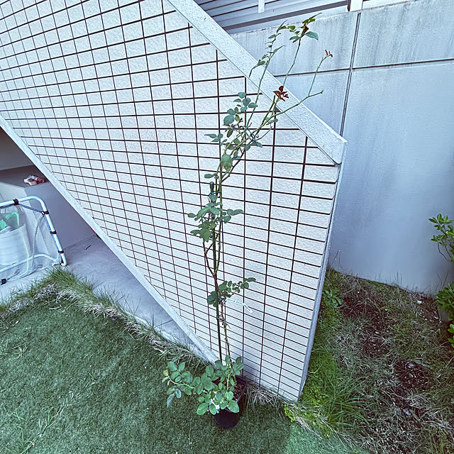 hiromimiさんの部屋