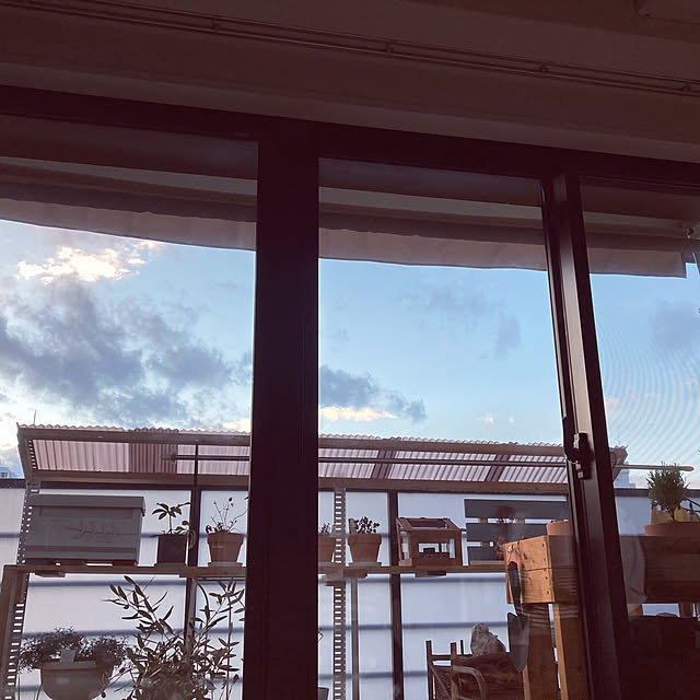 k51609060さんの部屋