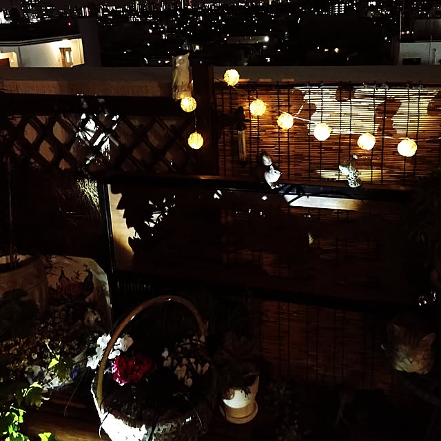 emmyyさんの実例写真