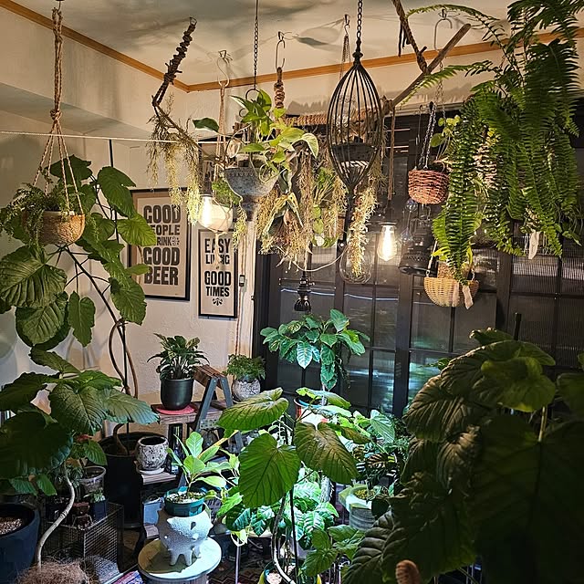 CYNOSさんの実例写真