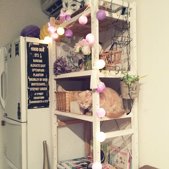 cottonさんの実例写真