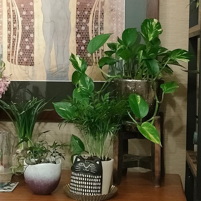 Yoko622さんの実例写真