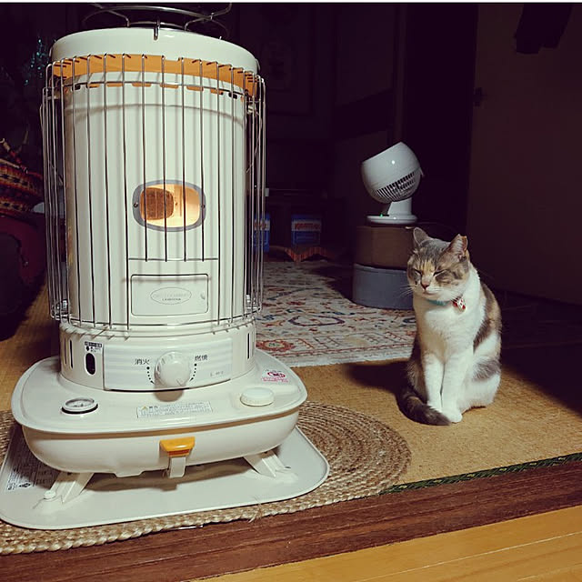 fukuさんの実例写真