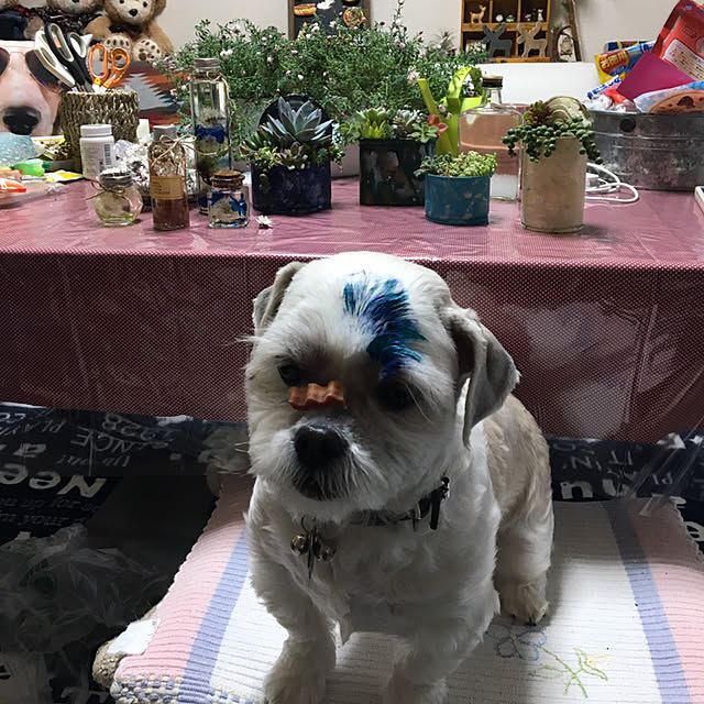 emiさんの実例写真