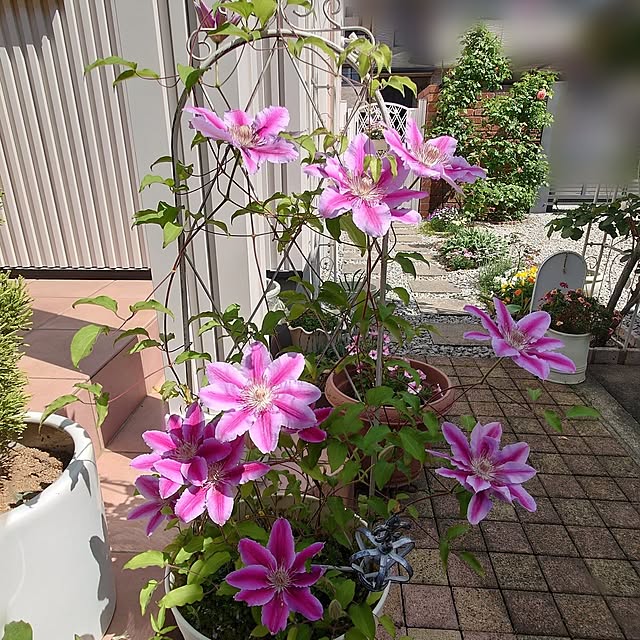 fleur-mamanさんの部屋