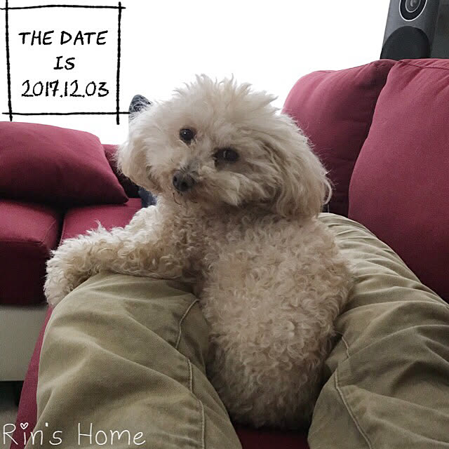 Rinさんの実例写真