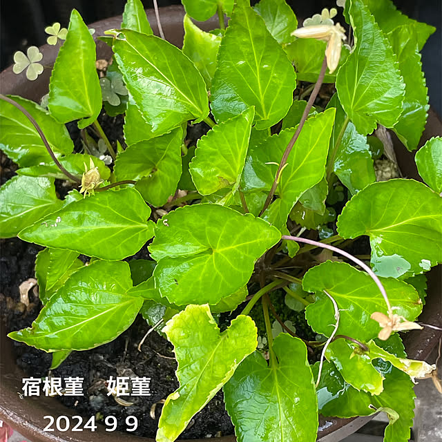 buchiさんの部屋