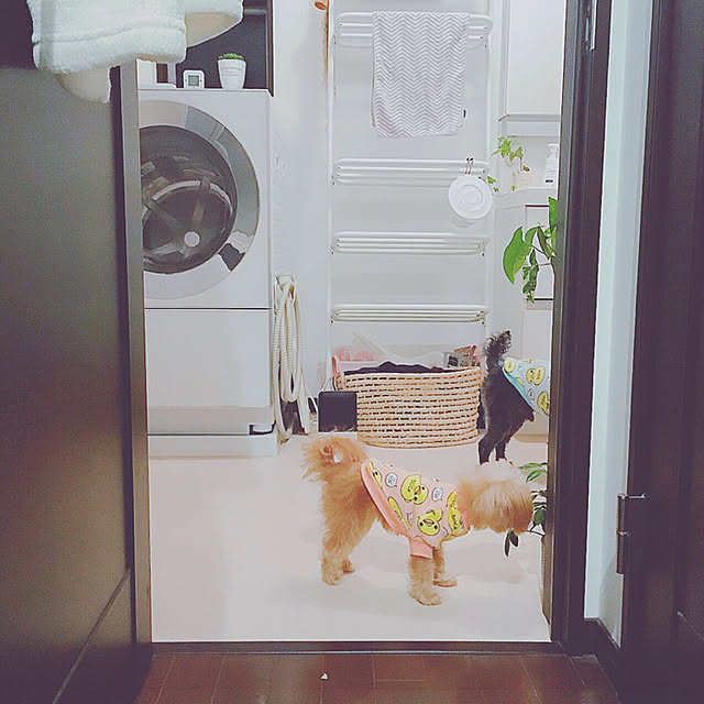 risaさんの実例写真