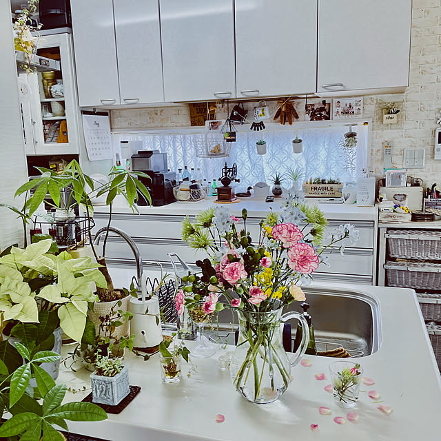 burgundy.roseさんの部屋