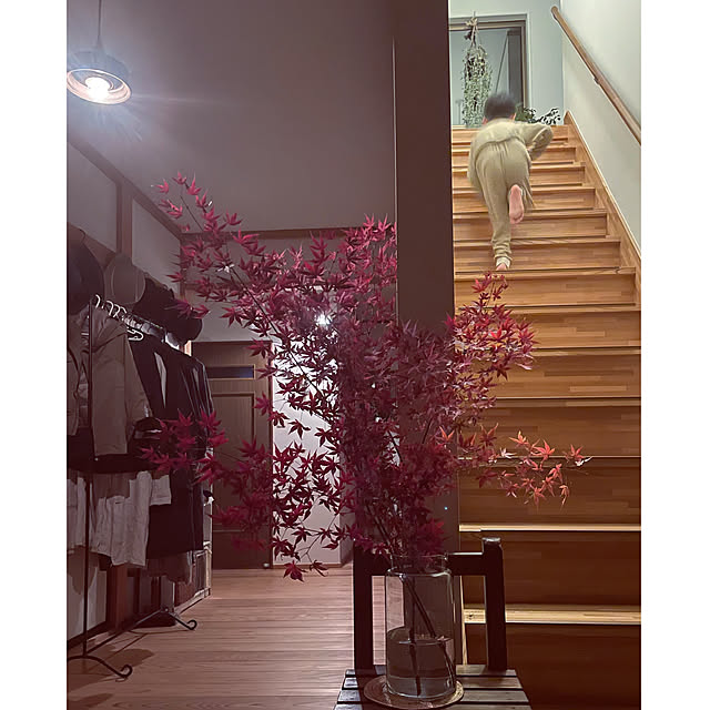 marucoさんの実例写真