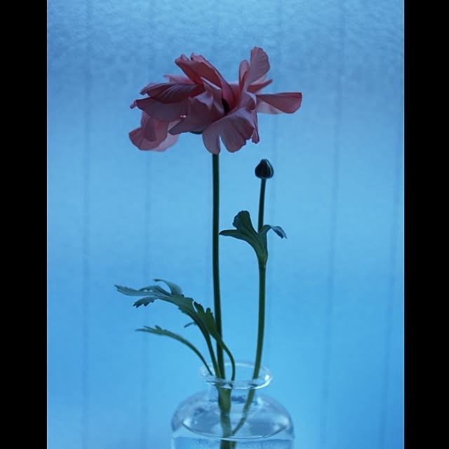 towaさんの実例写真