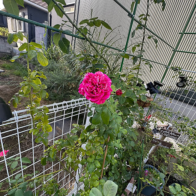 miruさんの部屋