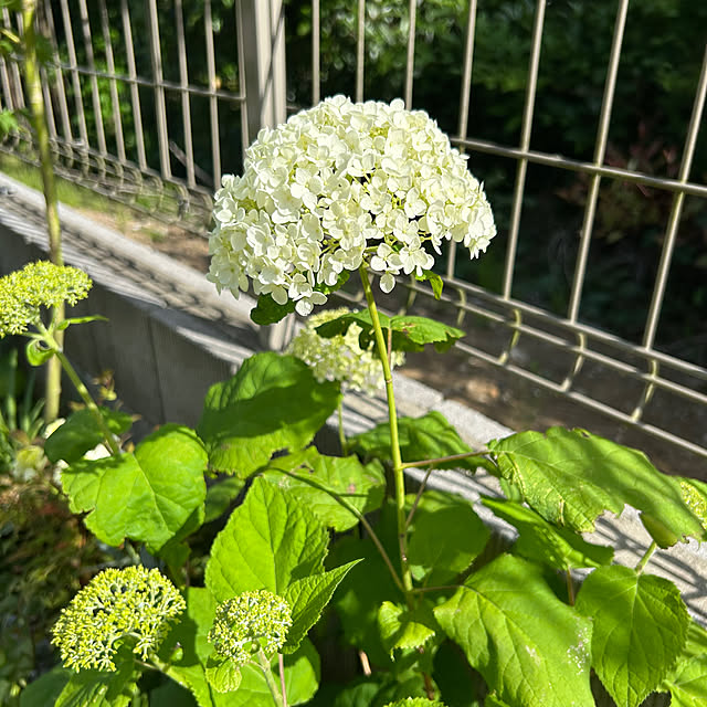 mocoさんの部屋