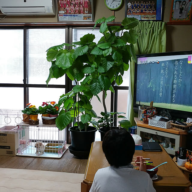 nontenrunさんの実例写真