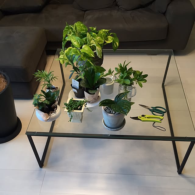 机/観葉植物のインテリア実例 - 2017-04-25 06:35:54