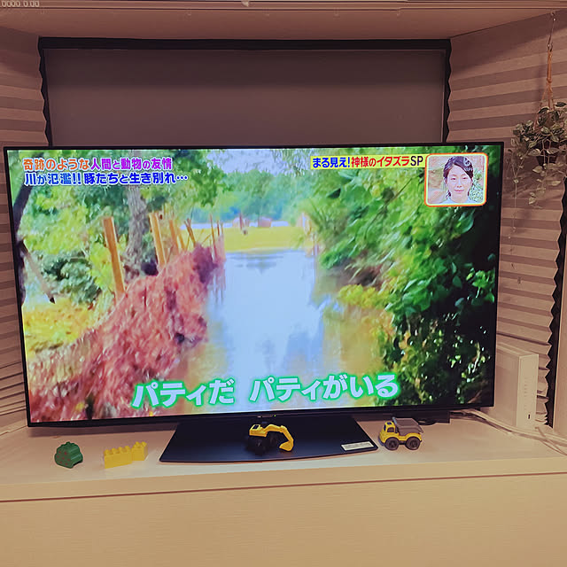 yamaeriさんの部屋