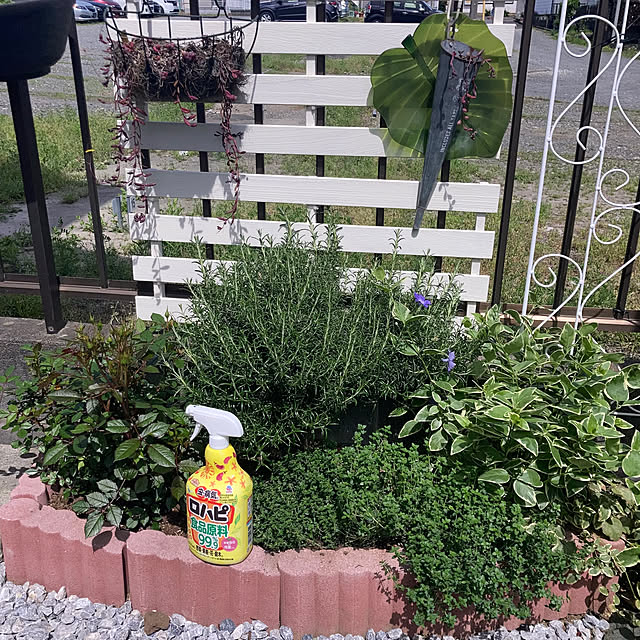 mamaさんの実例写真