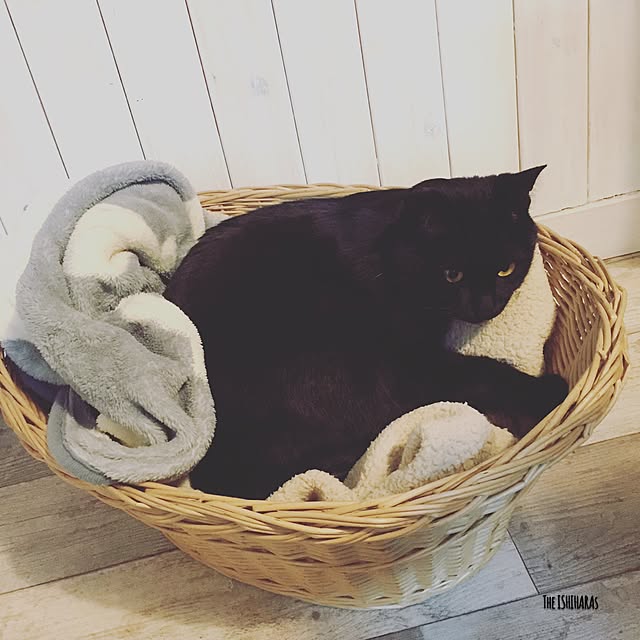 theishiharasさんの実例写真