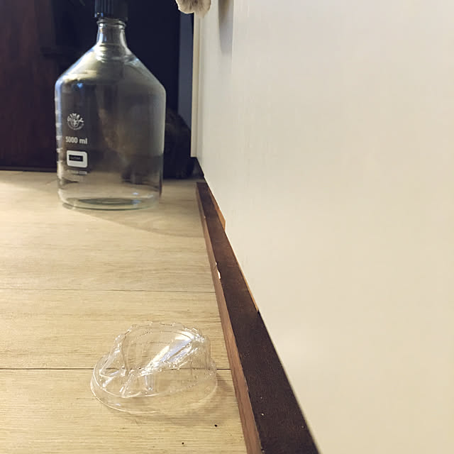Mさんの実例写真